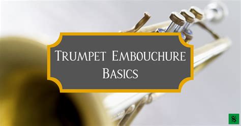 embouchure definition music: The Embouchure's Role in Musical Expression and Its Evolution Over Time