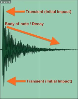 What Are Transients in Music: An Elusive Exploration of the Dynamic Elements in Sound